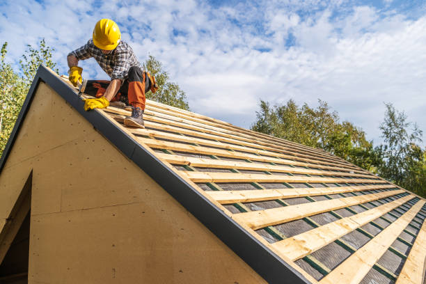 Best Roof Gutter Cleaning  in Centerville, GA